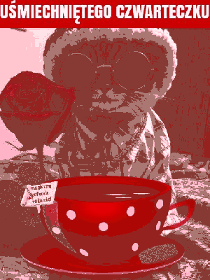 Kot w okularach uśmiechniętego czwartku